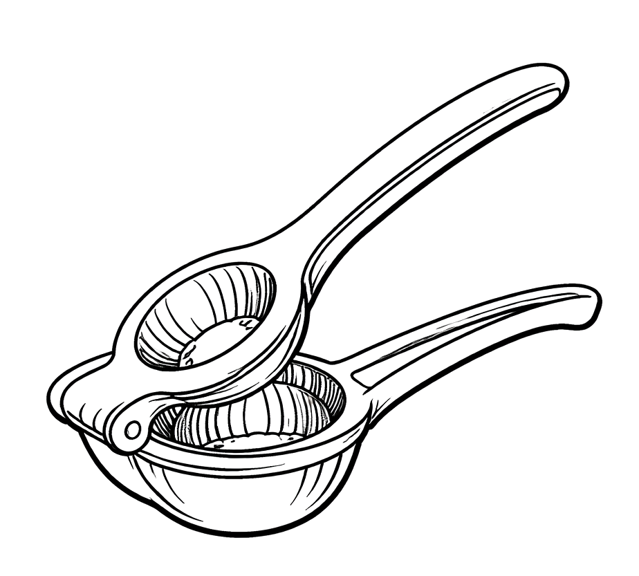 Citrus Juicer
